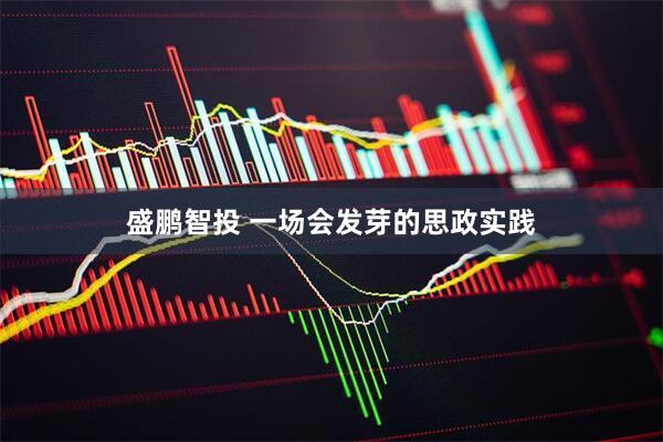 盛鹏智投 一场会发芽的思政实践