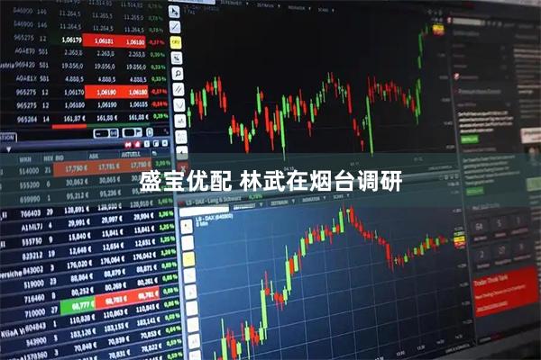 盛宝优配 林武在烟台调研
